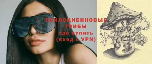 кокс Инсар