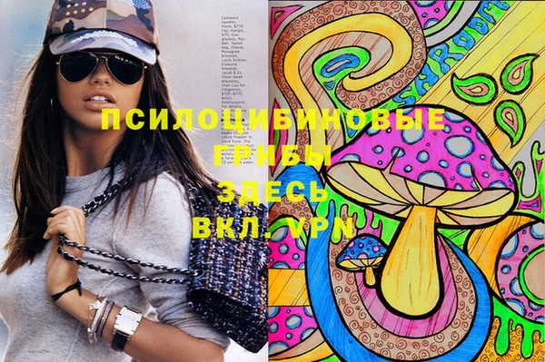 дживик Инта