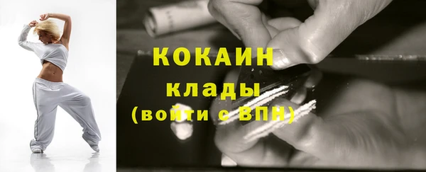 дживик Инта