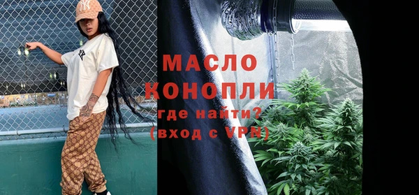 дживик Инта