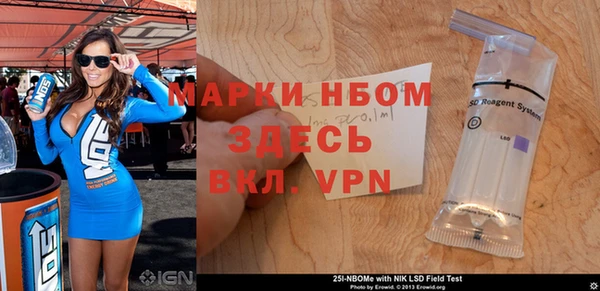 дживик Инта