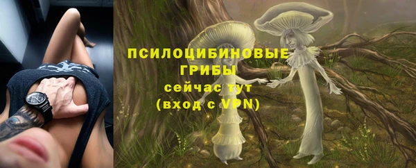 дживик Инта