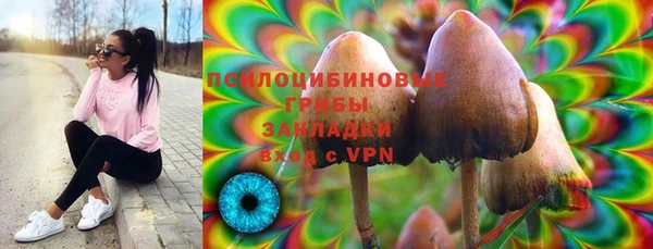 дживик Инта