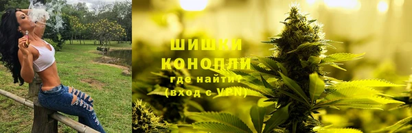 круглые Иннополис