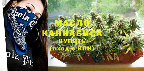 дживик Инта