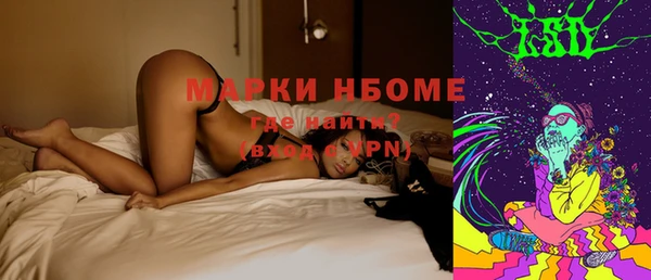 дживик Инта
