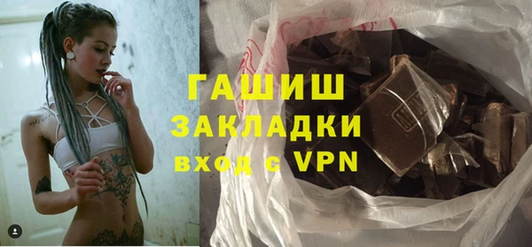 дживик Инта