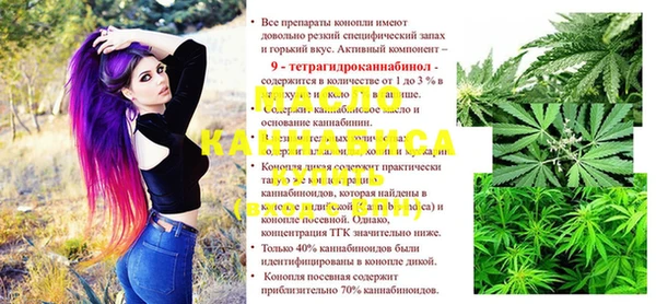 дживик Инта