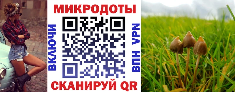 Купить закладки Бузулук Псилоцибиновые грибы мицелий